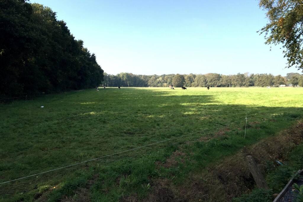 فيلا Natuurhuisje Veluwe Met Houtkachel En Pizzaoven إرميلو المظهر الخارجي الصورة